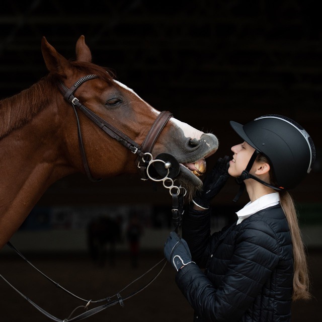 Кони для всех?