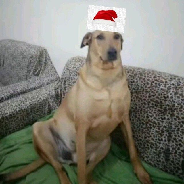 Трупопоедальня