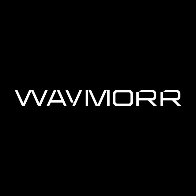 WAYMORR - оборудование для майнинга