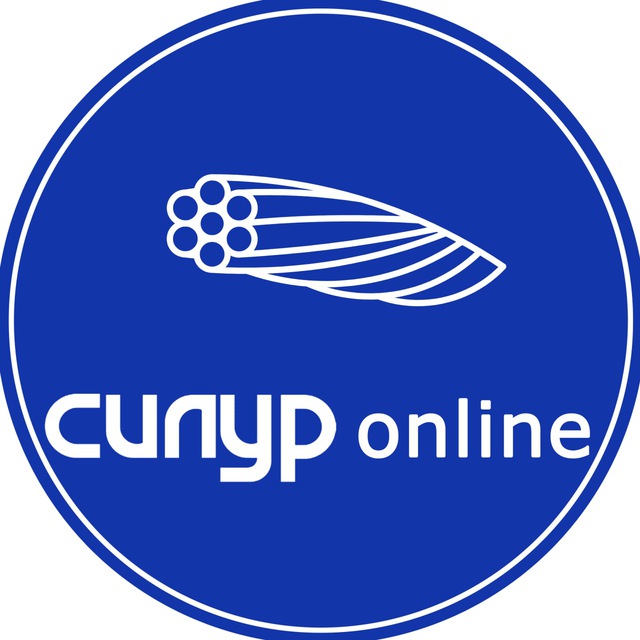 SILUR online