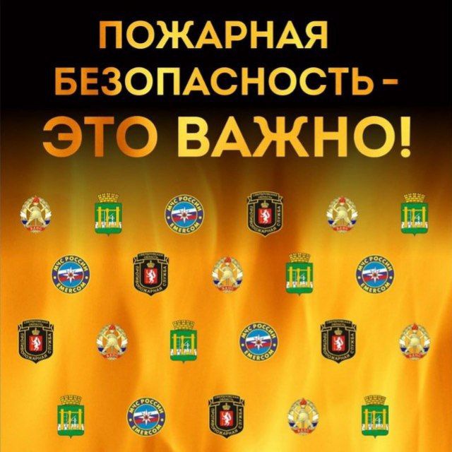 АРО ВДПО + ОНД и ПР МО г. Алапаевск