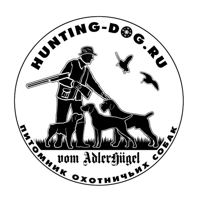 Hunting-dog.ru — питомник дратхааров и курцхааров