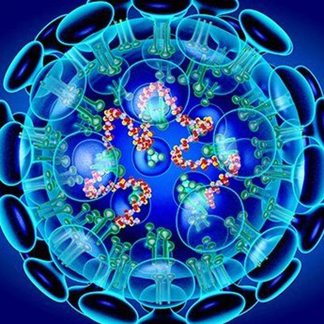 Без паники | Коронавирус | Оспа обезьян