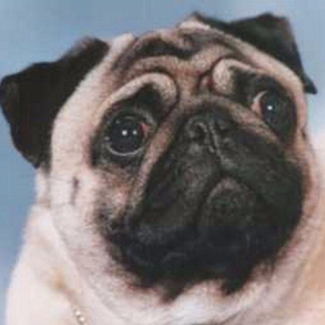 странные слайды презентаций