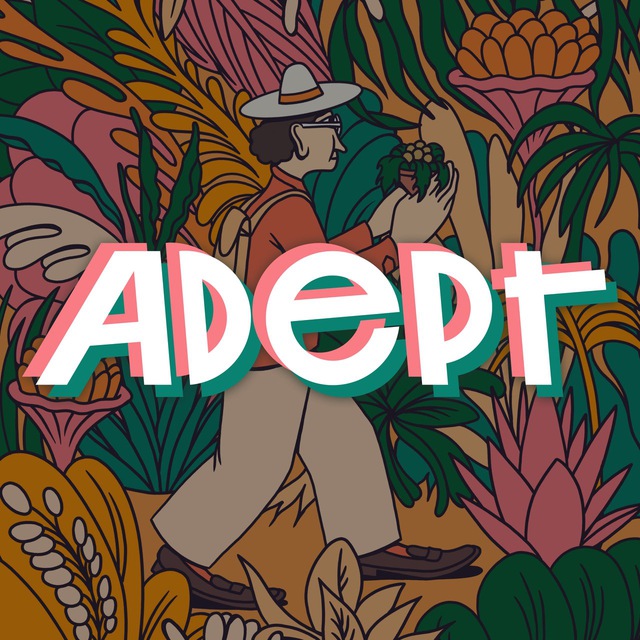 Адепт на связи!