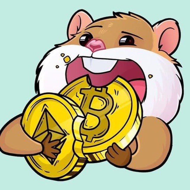 Комбо карты hamster 30 июля Комбо карты hamster 30 июля