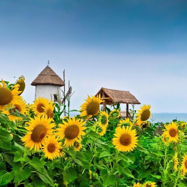 ☀️ Детский сад 219 ☀️