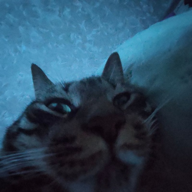 sкотчевый подвал…?