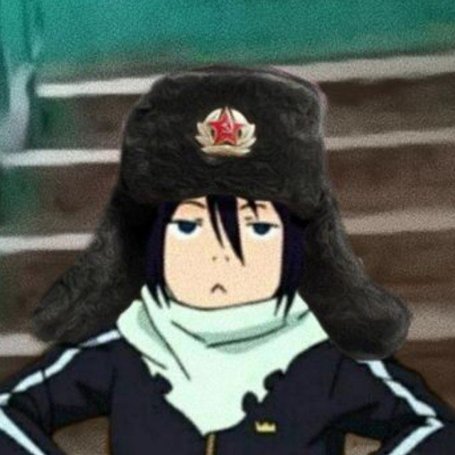 Покои Диоды