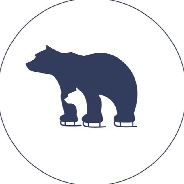 Polar Team | Школа фигурного катания
