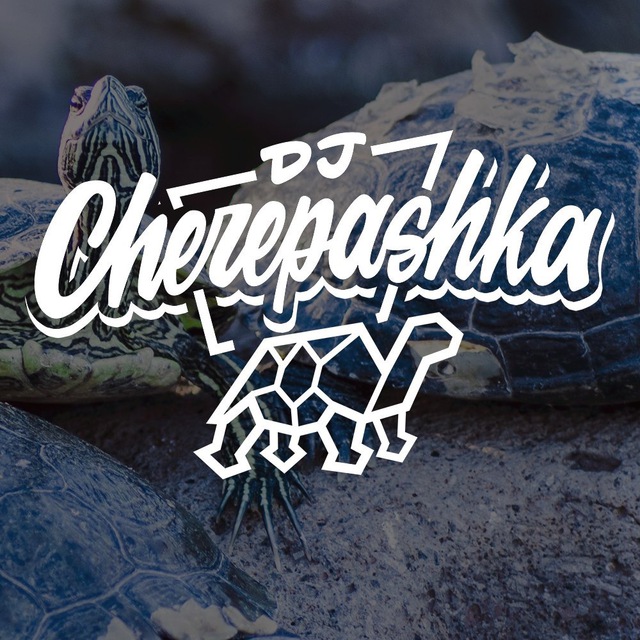 dj cherepashka