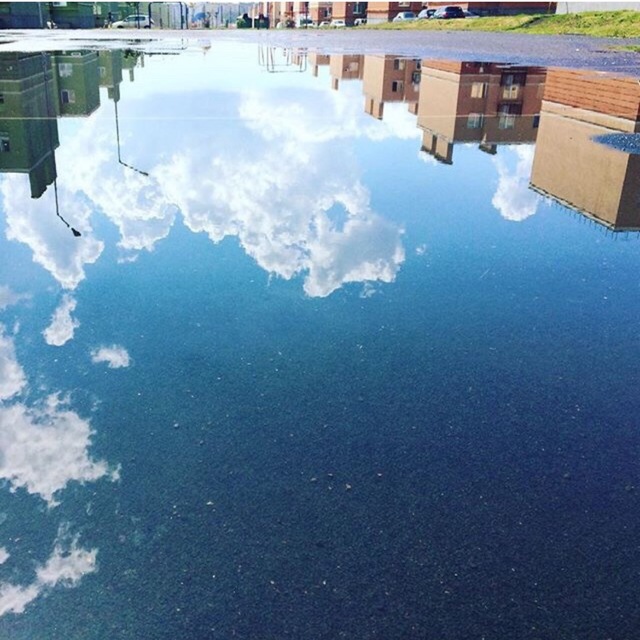 Кошелев чат