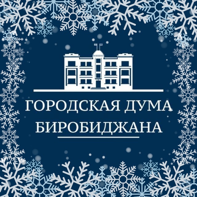 Городская Дума Биробиджана