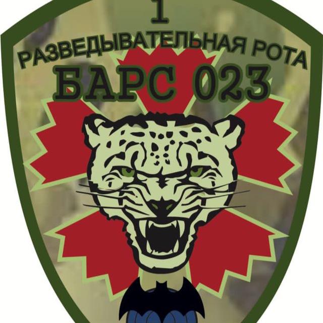 Барс 23