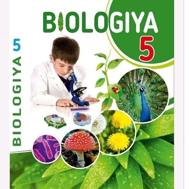 Урок 15 биология