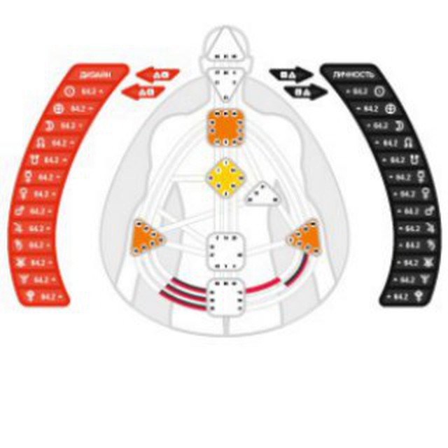 внутренний дизайн человека — Shipping Agency Equator