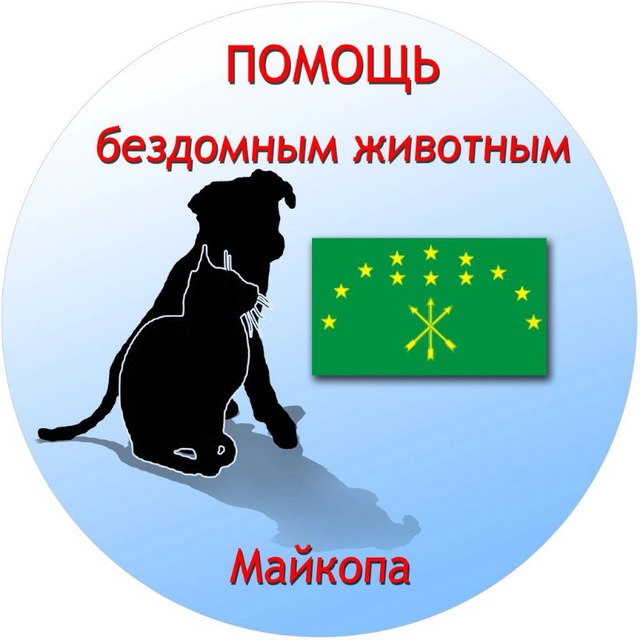 Dog_maikop?❤️?