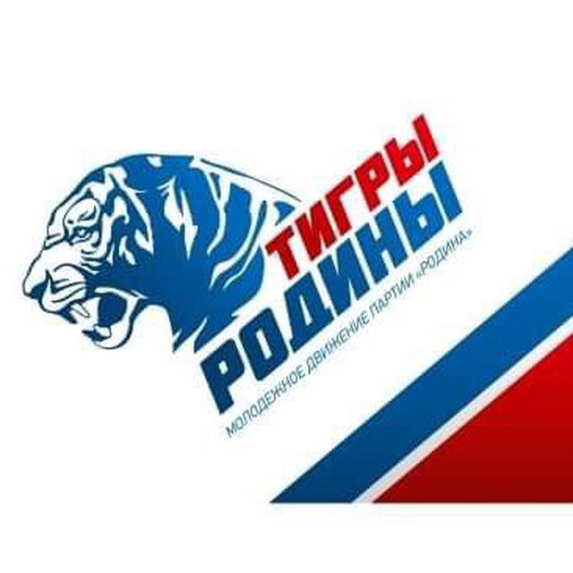 ТИГРЫ РОДИНЫ