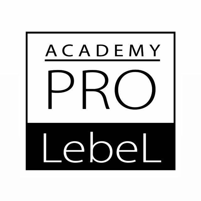 Lebel Аcademy