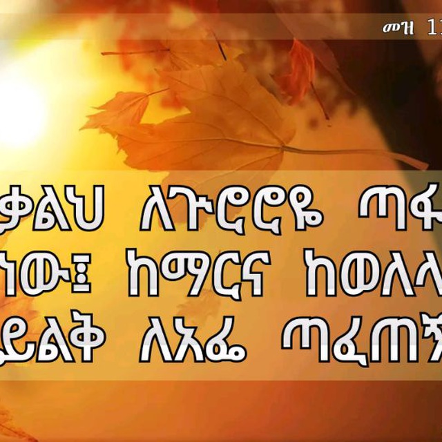 Bible Verses In Amharic Telegram Channel "Daily Bible Verse (Amharic)" — @Dailybibleverse1 — Tgstat