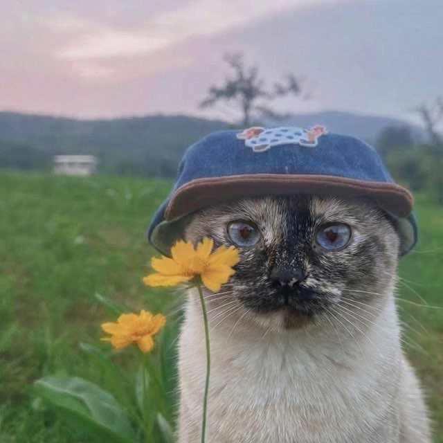 гоша нюдс бой