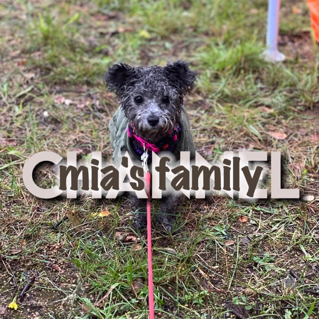 сашок на связи