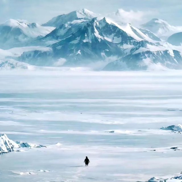 фанат Канье