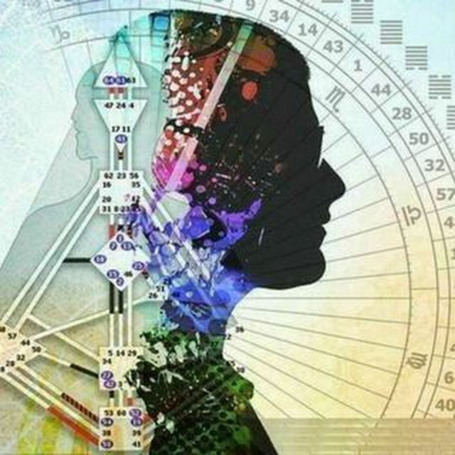 Human design
