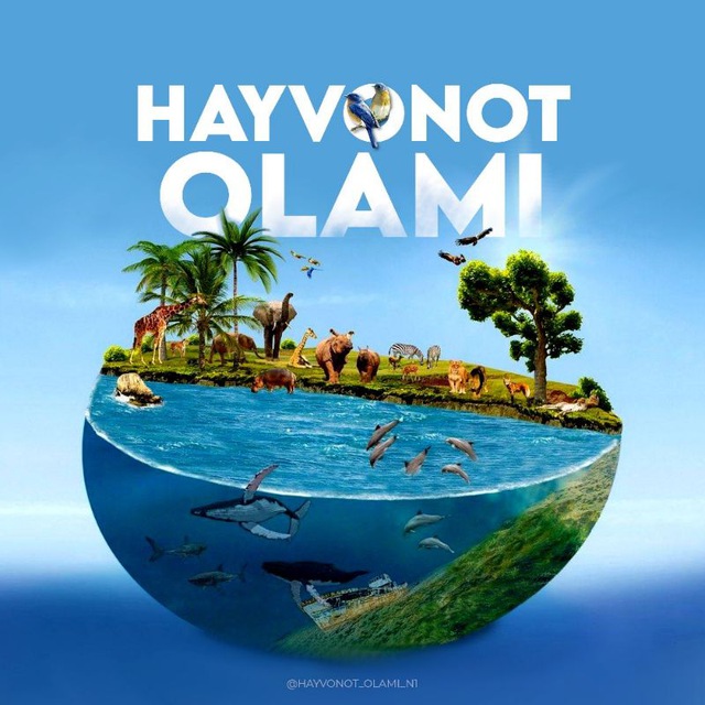 ?ХАЙВОНОТ ОЛАМИ