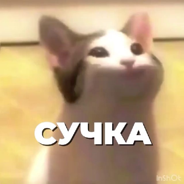 СУЧКА ОЗВУЧКА