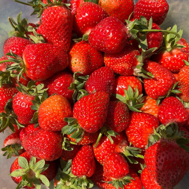 Ягода из Скородумовки?