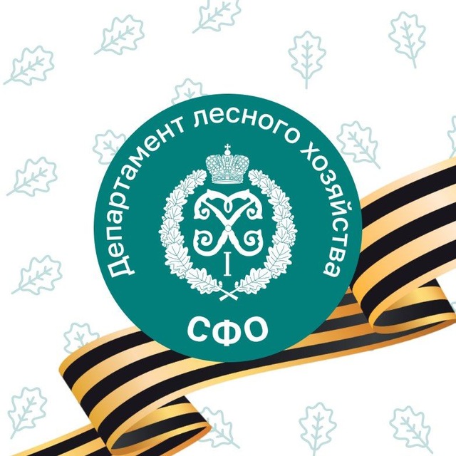 Департамент лесного хозяйства по СФО