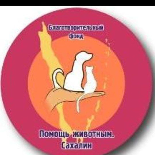 Помощь животным.Сахалин