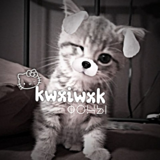 фоны нарезки| kwxiwxk