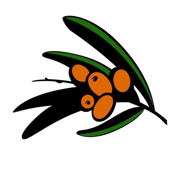 Облепиха - авторская керамика