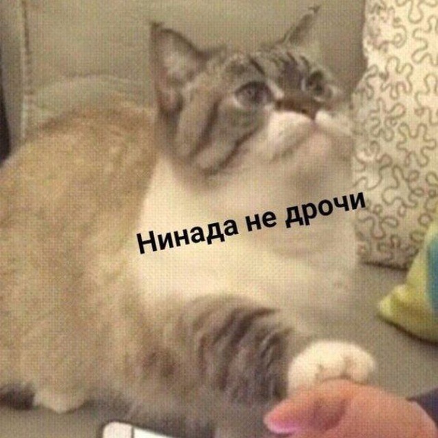 Квеве Production