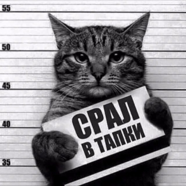 Дуркааа