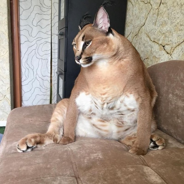 Осознанное питание ? Здоровая еда для лентяев