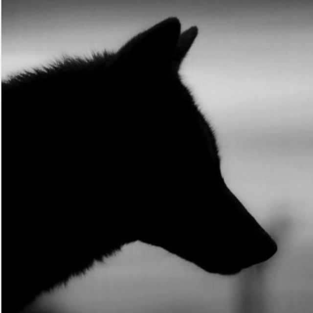 ПВС МБУ"Чистый город"