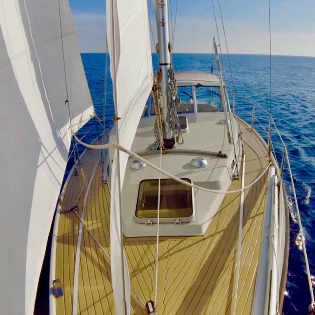 Sailing Life
