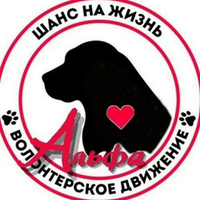 ОРОО "АЛЬФА"