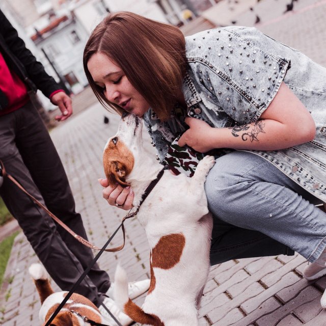 Мысли реабилитолога. VetRehab~DogMas