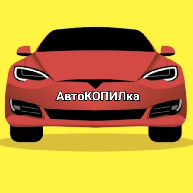 АвтоКОПИЛка???