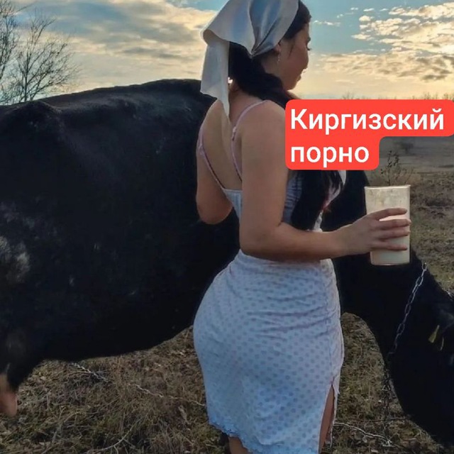 Рыцарьларды порно онлайн көру Бүкіл кеңсе ренжіді