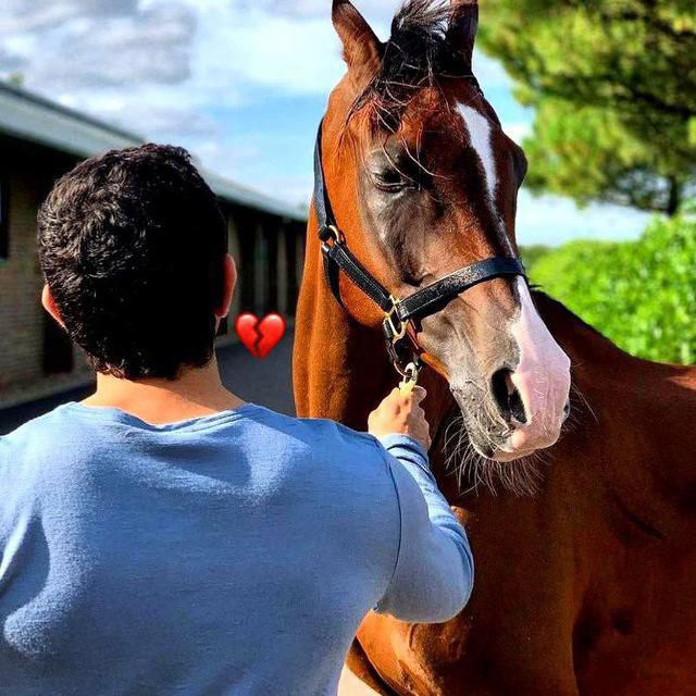 Хᴏᴛиᴩᴀҳᴏ✍