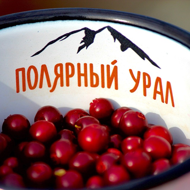 Олег Артемьев | Фотограф |...