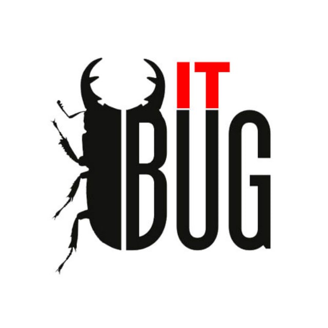 IT Bug(Основные сущности)