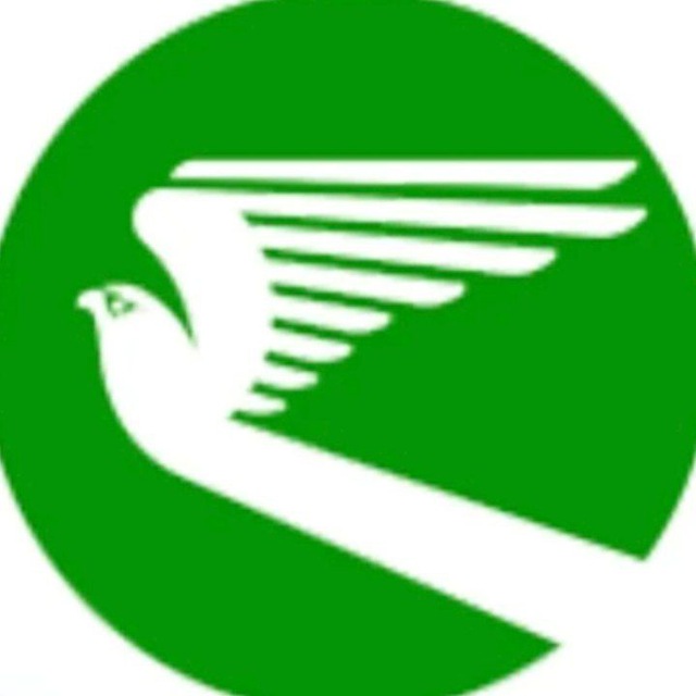 Авиакомпания TURKMENISTAN Airlines GSA