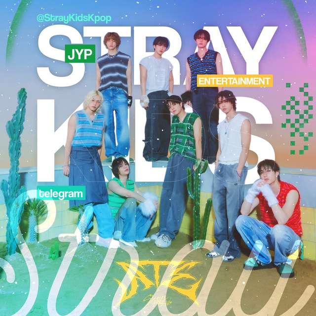 Stray kids кот