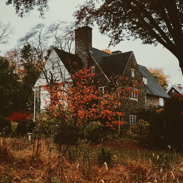 Магия вне Хогвартса